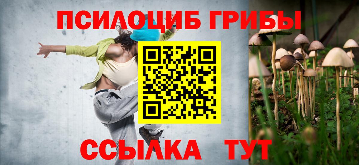 Галлюциногенные грибы прущие грибы  Вход с VPN  магазин    Шали 