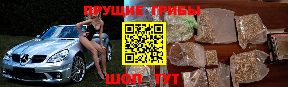 Галлюциногенные грибы Cubensis Шали